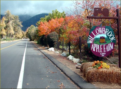 A colorful sign for Willowbrook Apple Farm beside a tree-lined road with autumn foliage in the background.