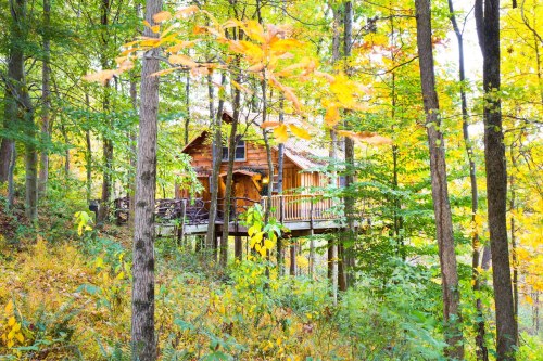 A wooden cabin on stilts surrounded by vibrant autumn foliage in a forest setting.