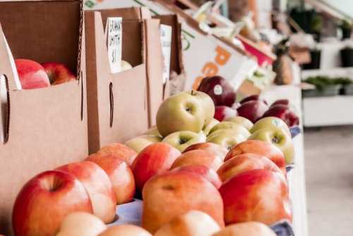 A variety of apples in cardboard boxes at a market, showcasing red and green apples on a table.