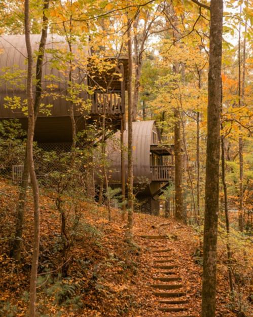 A modern cabin nestled among autumn trees, with wooden steps leading through fallen leaves.