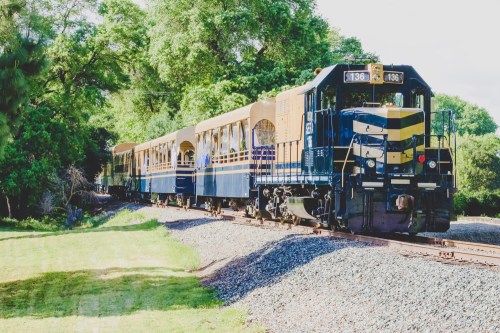 A vintage train with a blue and yellow locomotive pulls passenger cars along a scenic route surrounded by greenery.
