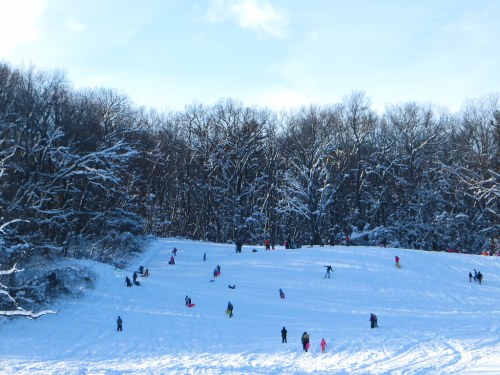 A snowy hill filled with people sledding and playing, surrounded by trees under a clear blue sky.