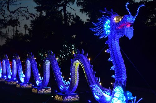 A vibrant, illuminated dragon sculpture with blue and white lights, set against a dark evening sky.
