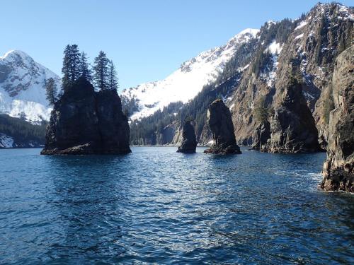 Rocky coastline with tall trees, snow-capped mountains, and clear blue water under a bright sky.