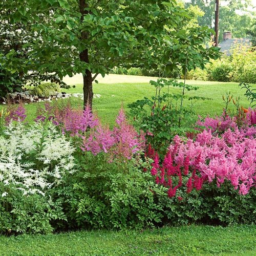 A vibrant garden featuring clusters of pink, white, and green flowers under a lush tree in a sunny landscape.