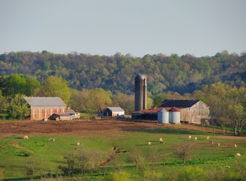 A scenic farm with red barns, a silo, and grazing cows, surrounded by lush green fields and wooded hills in the background.