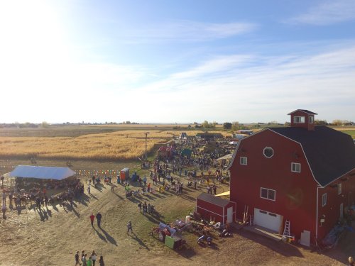 Aerial view of a bustling farm with a red barn, people enjoying activities, and fields in the background under a clear sky.