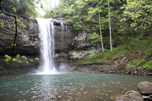A serene waterfall cascades into a tranquil pool, surrounded by lush greenery and rocky terrain.