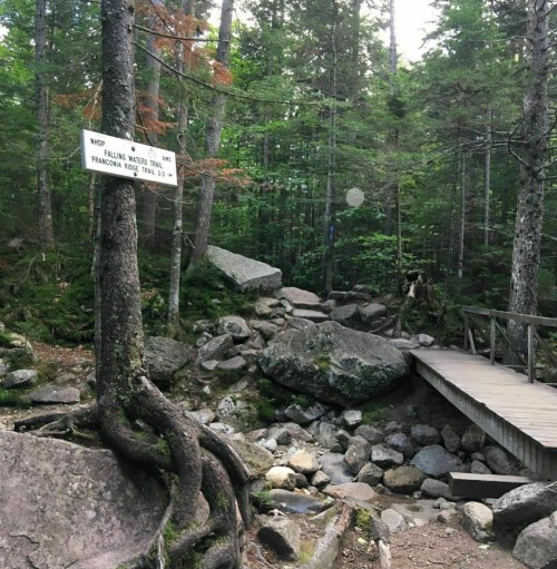 A wooden bridge crosses a rocky area in a forest, with a sign indicating the Falling Waters Trail nearby.