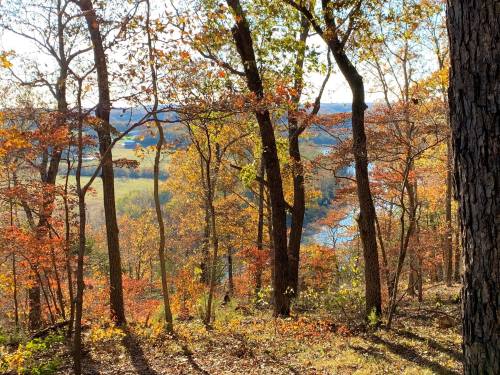 A scenic view of autumn trees with colorful leaves overlooking a river and rolling hills in the background.