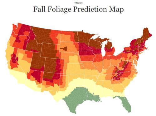 Map of the U.S. showing fall foliage prediction for 2020, with color-coded regions indicating peak leaf times.