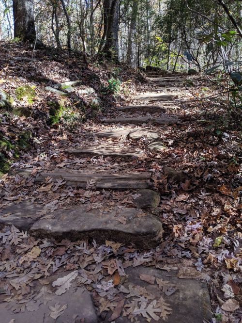 A winding stone path through a forest, covered with fallen leaves and dappled sunlight.