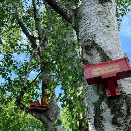 Two red birdhouses attached to a birch tree, surrounded by green leaves and a clear blue sky.