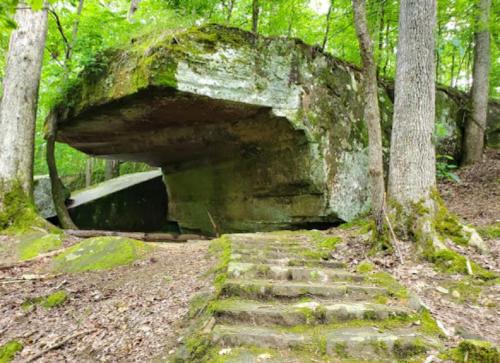 A large, moss-covered rock formation in a forest, with stone steps leading up to it amidst green trees.