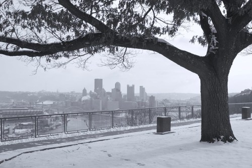 A snowy landscape with a large tree in the foreground and a city skyline in the background, captured in black and white.
