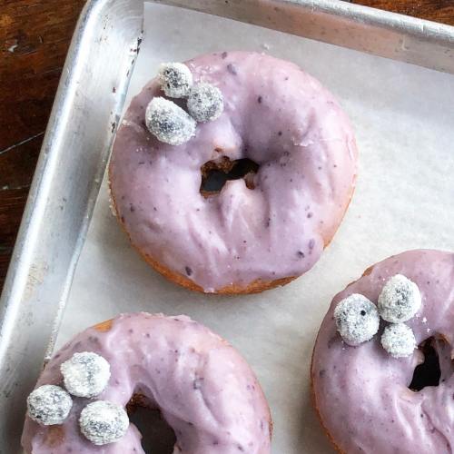Three donuts with purple frosting, topped with sugared blueberries, on a parchment-lined baking tray.