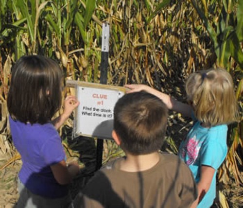 Three children in a cornfield look at a sign that reads "CLUE #1 Find the clock. What time is it?"