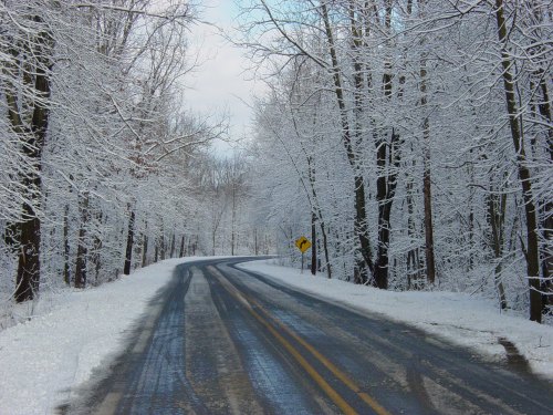 A winding road through a snowy forest, lined with trees covered in white snow under a cloudy sky.