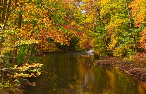 A serene river surrounded by vibrant autumn foliage reflecting in the water.