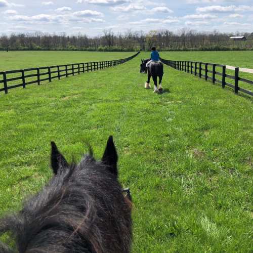 A rider on a horse trails down a grassy path lined with a wooden fence under a blue sky with fluffy clouds.
