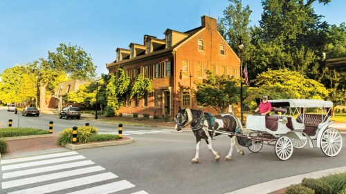 A horse-drawn carriage crosses a street near a historic brick building, surrounded by trees and parked cars.