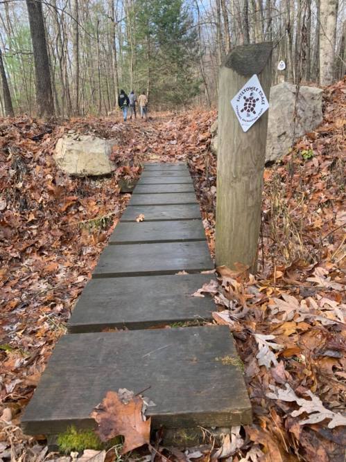 A wooden path through a forest with fallen leaves, leading to a trail marker in the background.