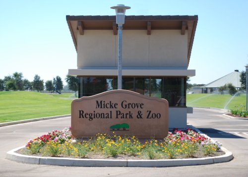 Sign for Micke Grove Regional Park & Zoo, with colorful flowers and a clear blue sky in the background.