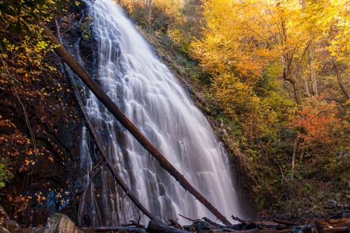 A cascading waterfall surrounded by vibrant autumn foliage and fallen logs.