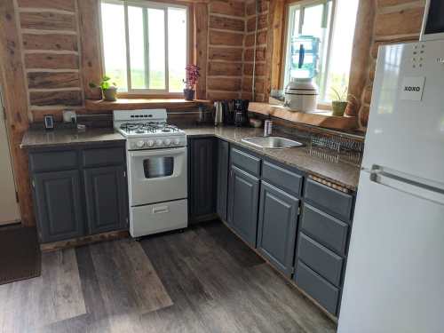 Cozy kitchen with log cabin walls, gray cabinets, a gas stove, and a sink, featuring natural light from large windows.