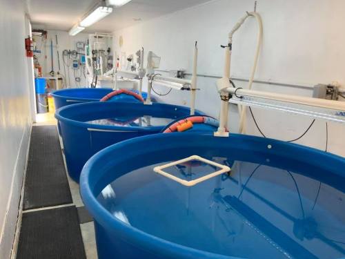 Interior of a facility with large blue tanks filled with water, equipped with pipes and monitoring equipment.