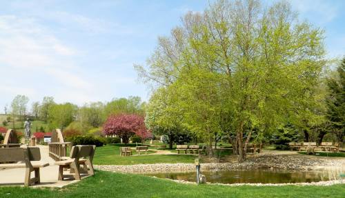 A serene park scene featuring a pond, green trees, and picnic benches under a clear blue sky.