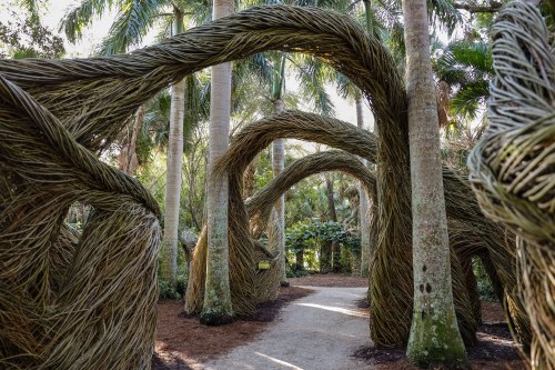 A winding pathway through a lush garden, framed by large, twisted natural sculptures and palm trees.