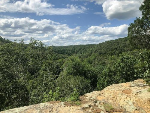 A scenic view of a lush green forest under a partly cloudy sky, with rocky terrain in the foreground.