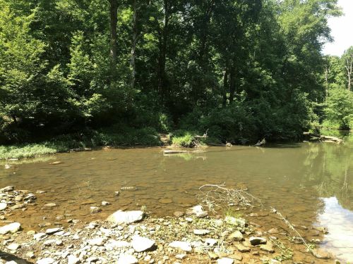 A serene riverbank scene with clear water, surrounded by lush green trees and vegetation.