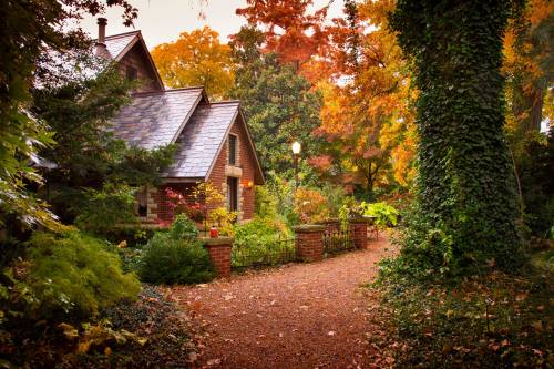 A charming brick house surrounded by vibrant autumn foliage and a winding gravel path.