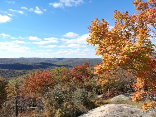 A scenic view of rolling hills covered in autumn foliage, with vibrant orange and red leaves against a blue sky.