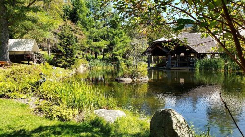 A serene garden scene featuring a pond, lush greenery, and a rustic gazebo surrounded by trees.