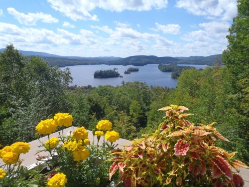 A scenic view of a lake surrounded by greenery and islands, with vibrant yellow flowers in the foreground.