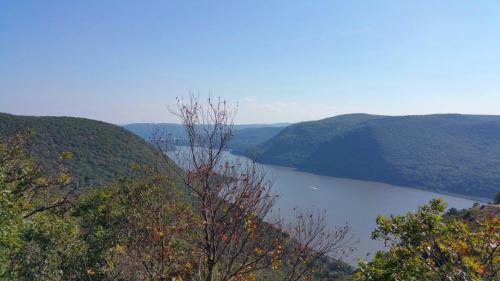 Scenic view of a river winding through green hills under a clear blue sky, with trees in the foreground.
