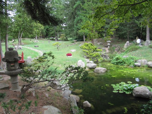 A serene garden scene featuring a pond, rocks, lush greenery, and a traditional stone lantern.
