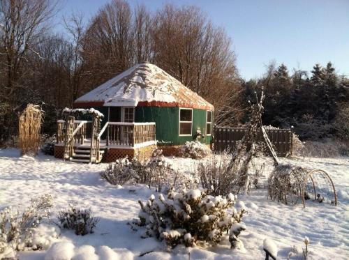 A cozy, round house with a snow-covered roof surrounded by a winter landscape and snow-dusted plants.