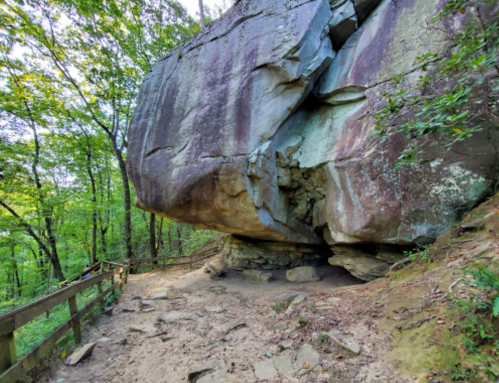 A large boulder rests on a forested trail, surrounded by trees and greenery, with a wooden railing nearby.