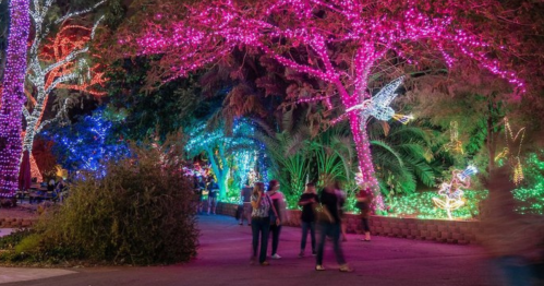 Colorful holiday lights illuminate trees and pathways as people stroll through a festive outdoor display.