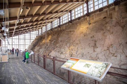Visitors observe a large fossil wall in a museum, with informational displays and natural light streaming in.