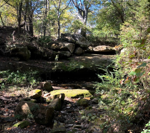 A serene forest scene with rocks, greenery, and a small stream under dappled sunlight.