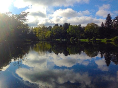 A serene lake reflecting trees and clouds under a blue sky, with sunlight peeking through the foliage.