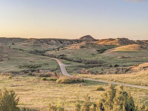 A winding road cuts through rolling green hills under a soft sunset sky.