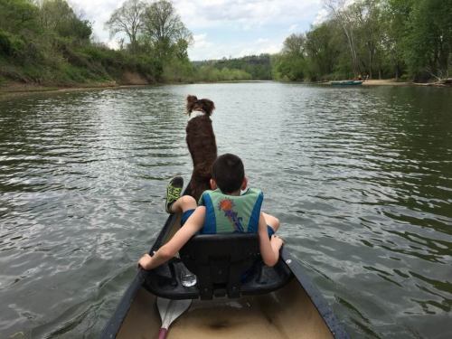 A child and a dog sit in a canoe on a calm river, surrounded by lush greenery and trees.