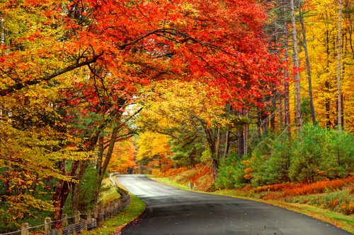 A winding road surrounded by vibrant autumn foliage in shades of red, orange, and yellow.