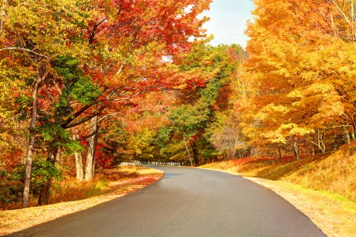 A winding road surrounded by vibrant autumn trees in shades of red, orange, and yellow under a clear sky.